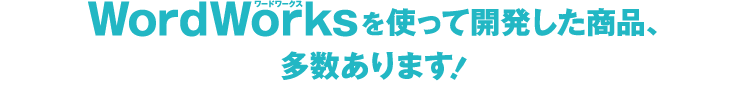 WおｒｄWorksを使って開発した商品、多数あります！